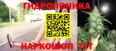 apvp Свободный