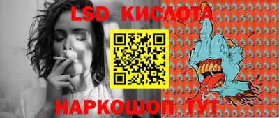 apvp Свободный