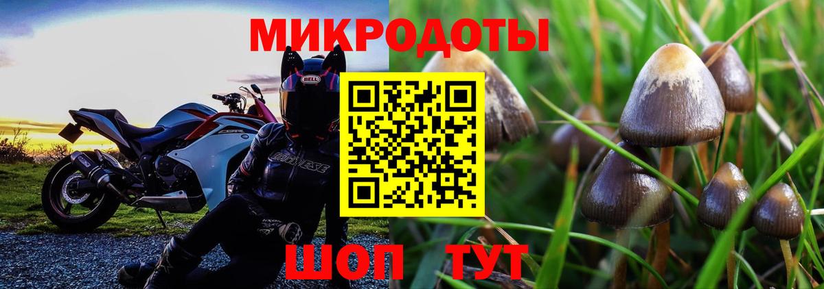 Галлюциногенные грибы мухоморы Родники