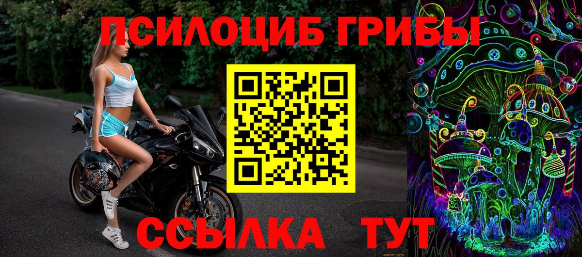 Псилоцибиновые грибы MAGIC MUSHROOMS  Вход с VPN  Родники 