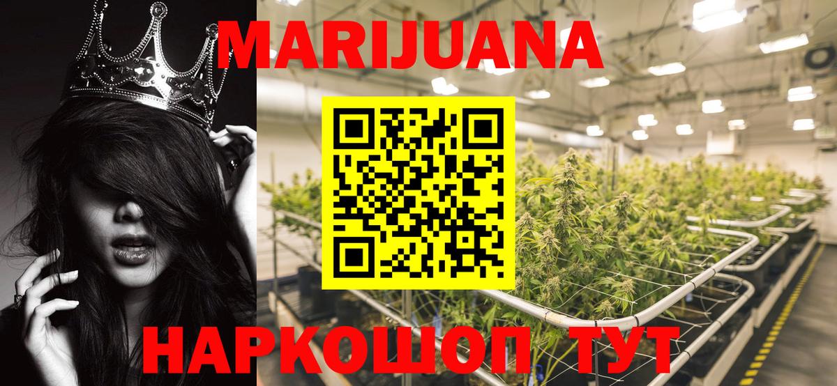 Бошки марихуана ГИДРОПОН Родники